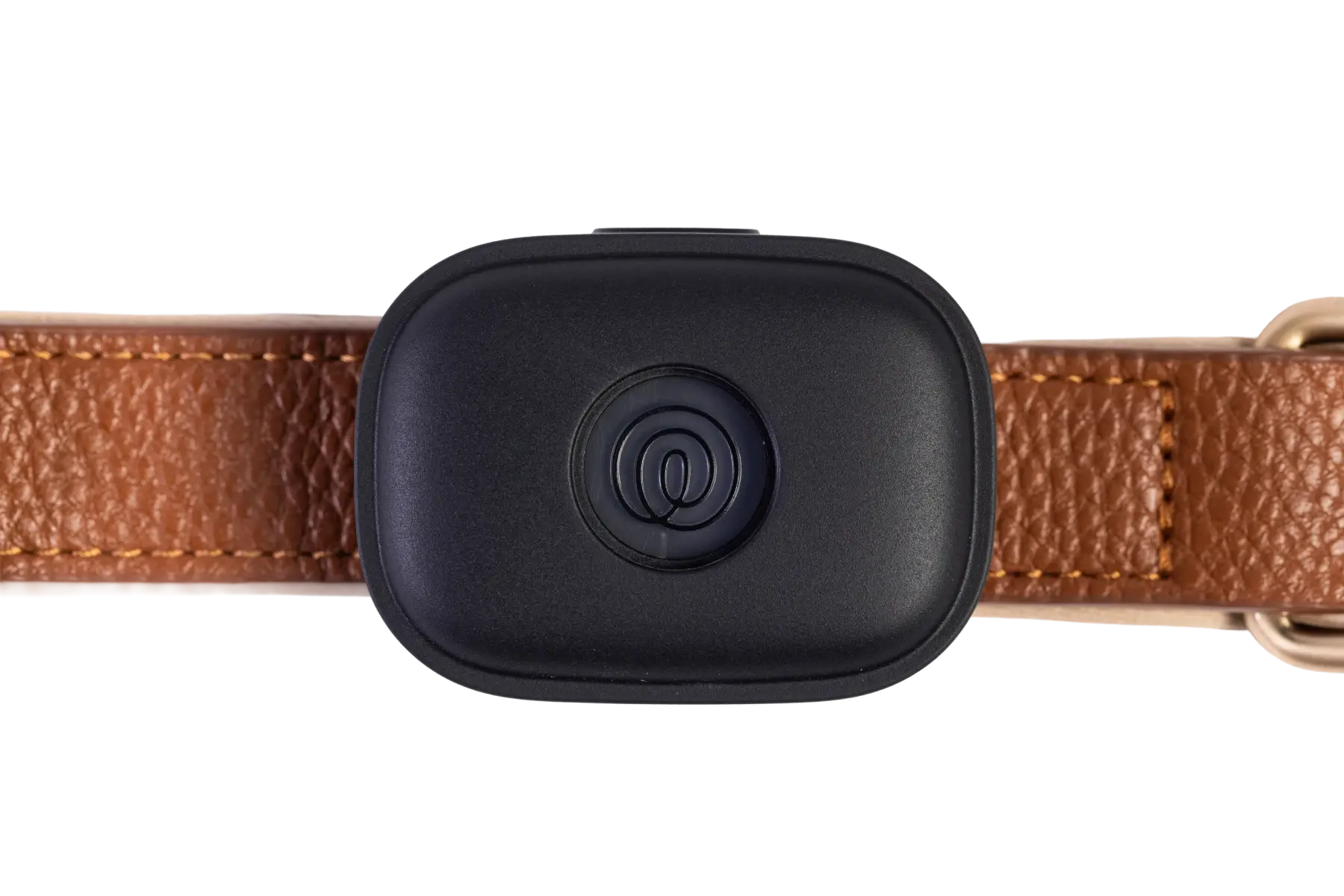 Image of Life360 Pet GPS - Black on a brown collar