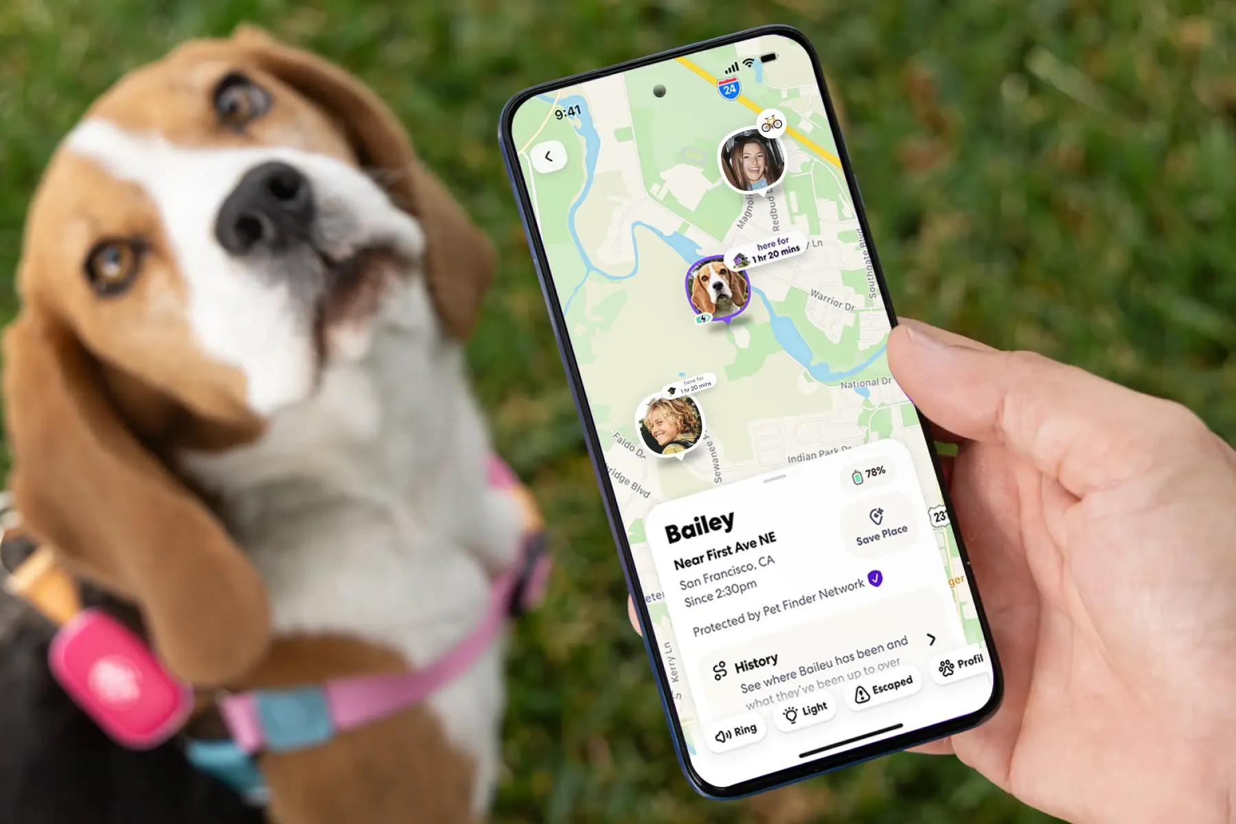 Image of Life360 Pet GPS- Pink Punch on Beagle with mobile device on Life360 map showing the location