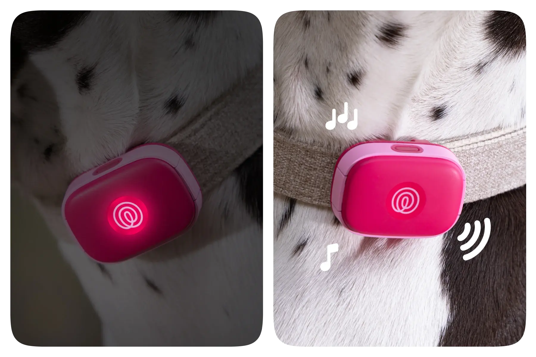 Image of Life360 Pet GPS- Pink Punch showing that it lights up and also makes sounds when you ring your pet