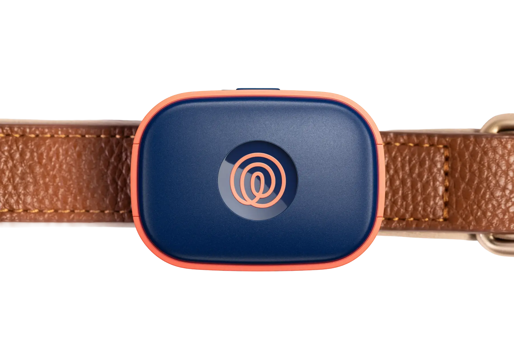 Image of Life360 Pet GPS - Navy Blaze on a brown collar
