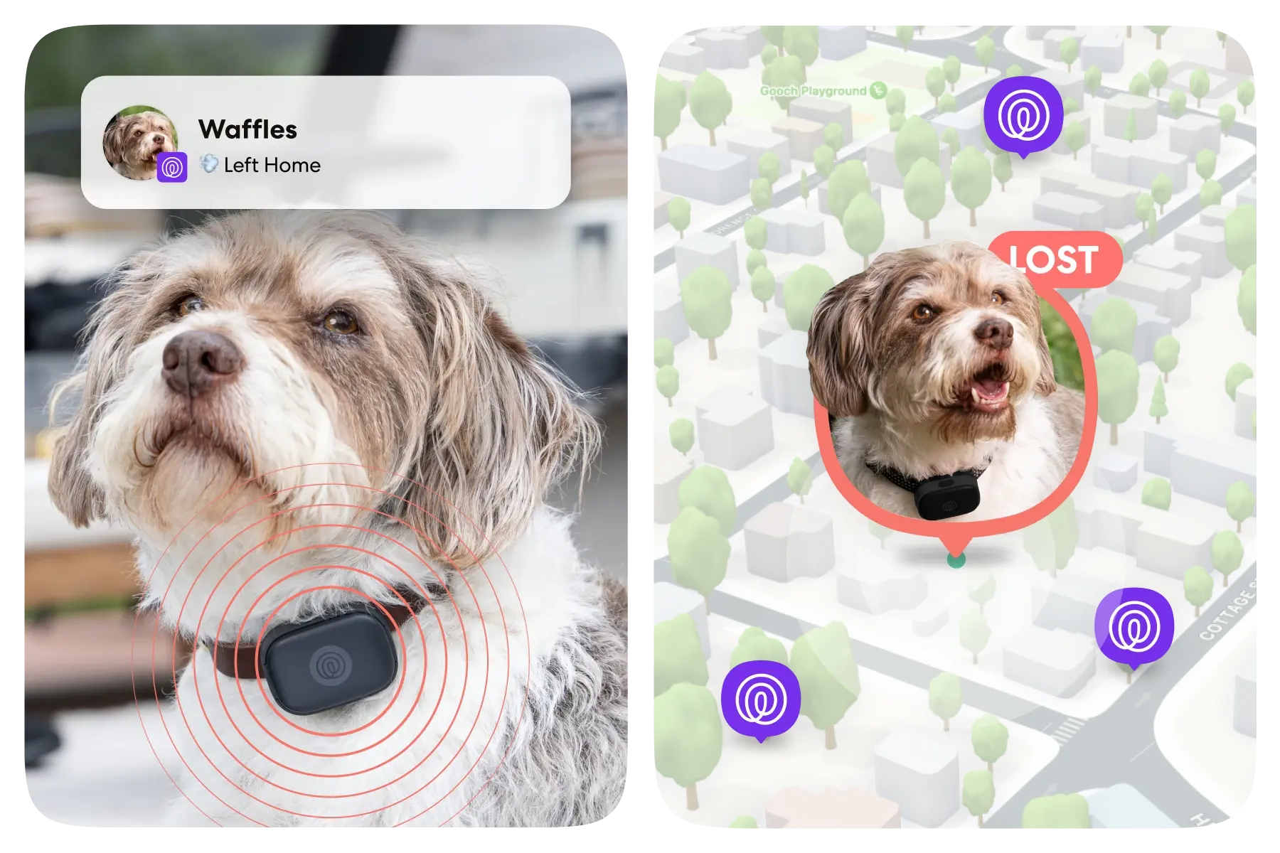 Image of Life360 Pet GPS- Black on Waffles the dog with the Left Home Alert and the Life360 map