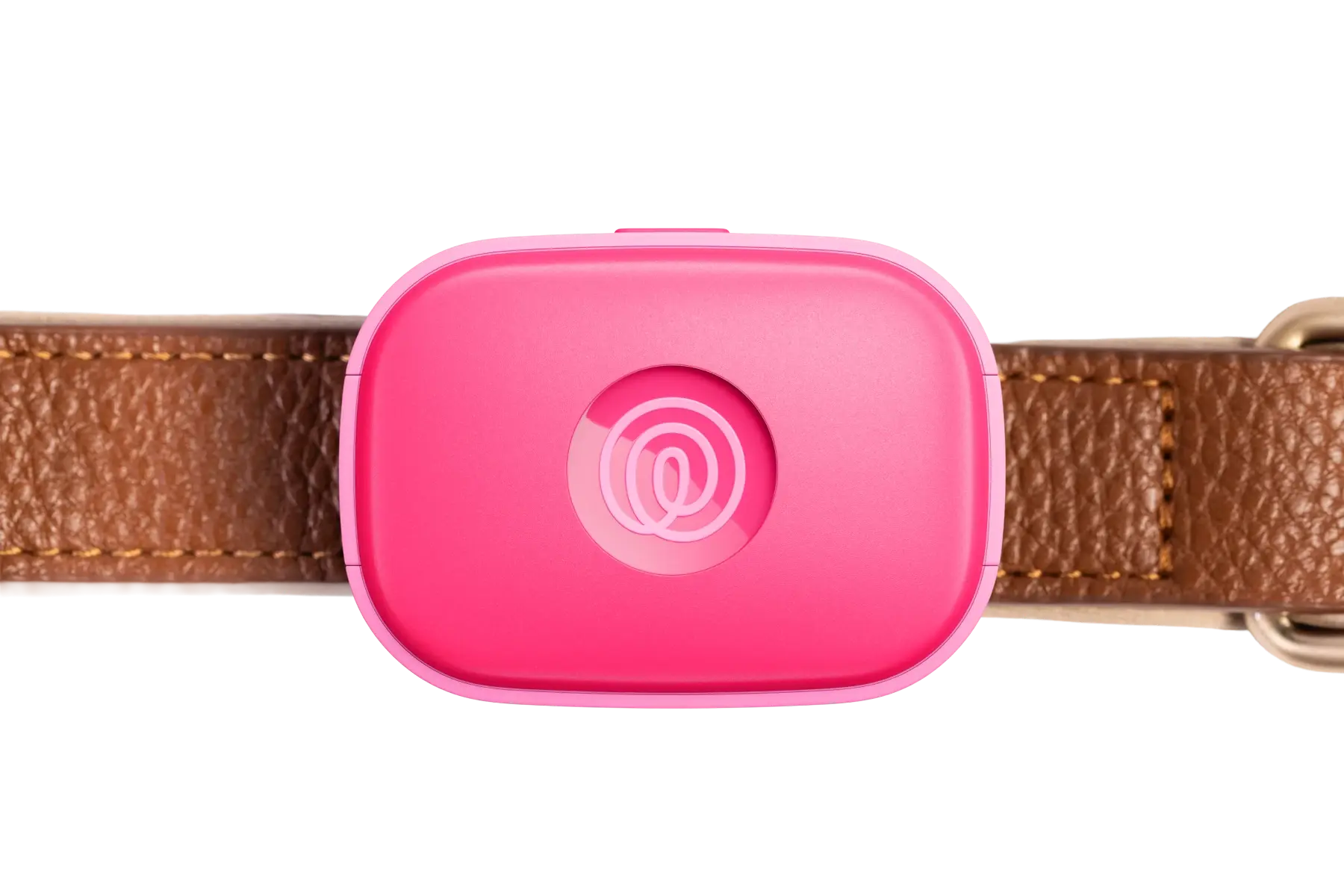 Image of Life360 Pet GPS - Pink Punch on a brown collar