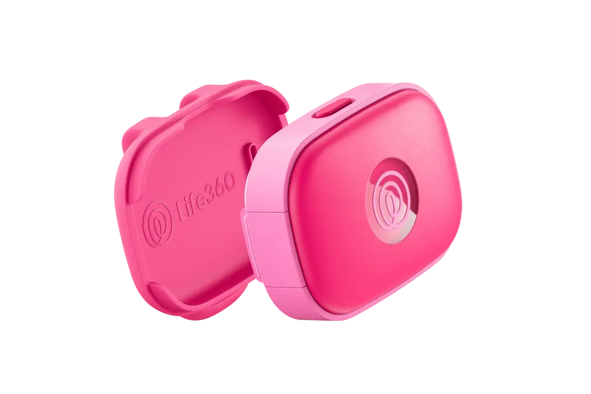 Image of 2 Angled Pieces of Pink Punch GPS Tracker