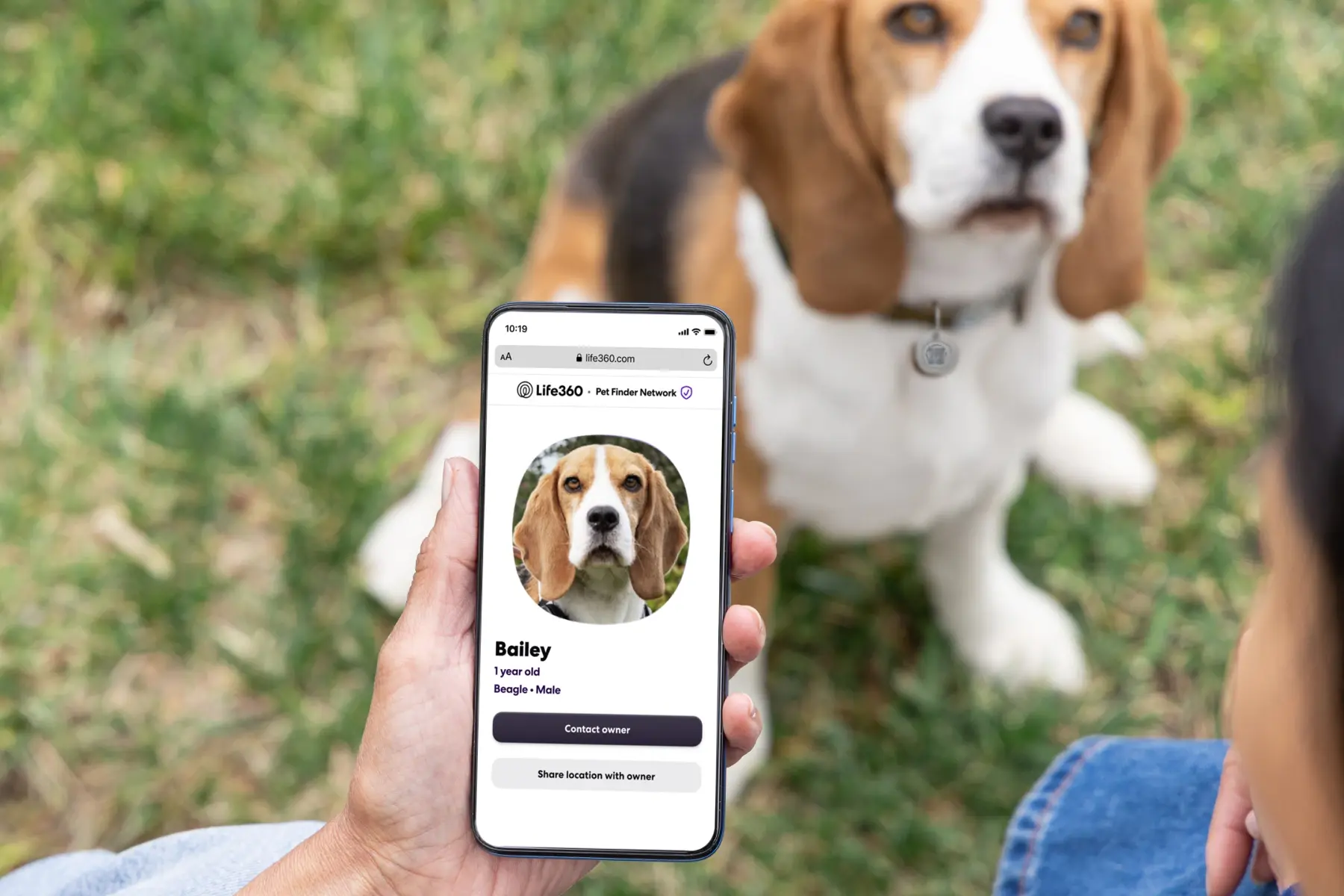 Image of Life360 Pet Tag on a beagle and the Life360 app open with a pet profile