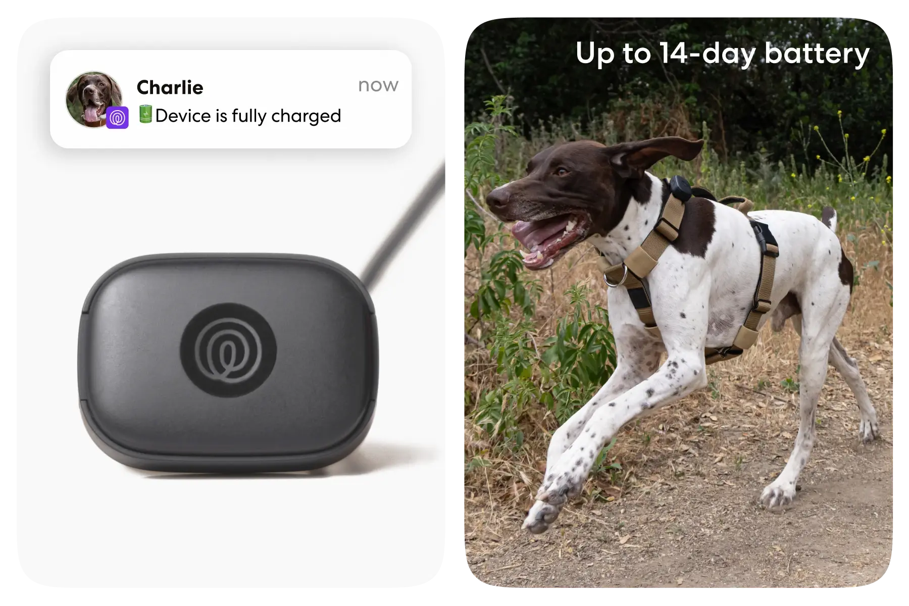 Image of the Life360 Pet GPS - Black being charged and getting the fully charged alert
