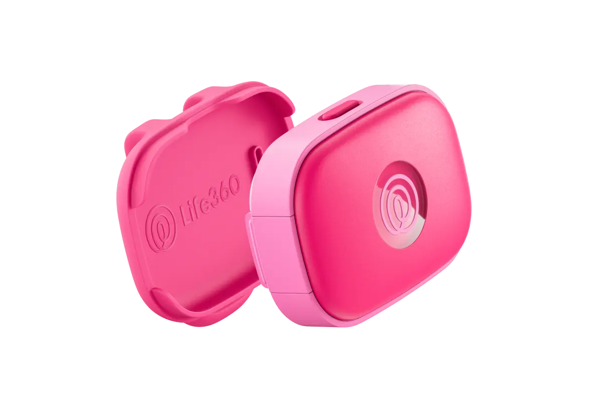 Image of 2 Angled Pieces of Pink Punch GPS Tracker