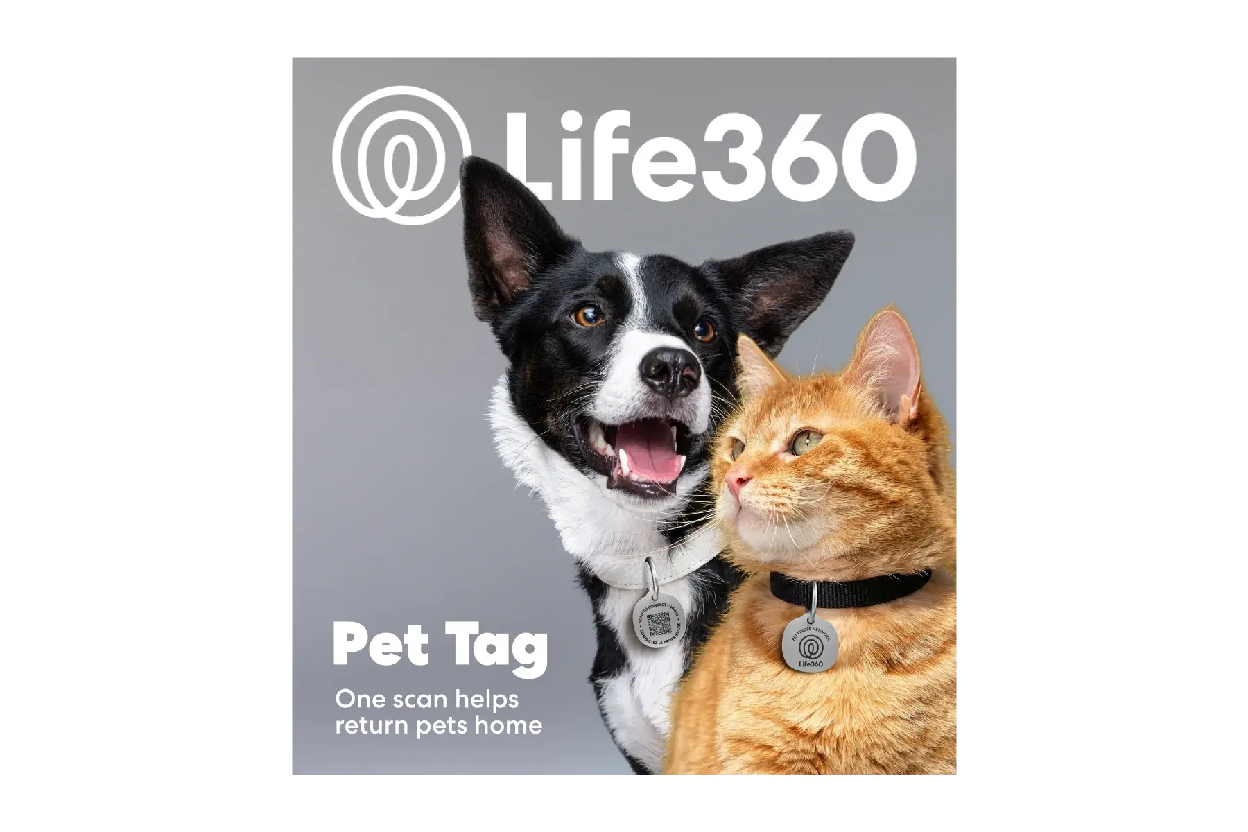 Image of the box of the Life360 Pet Tag