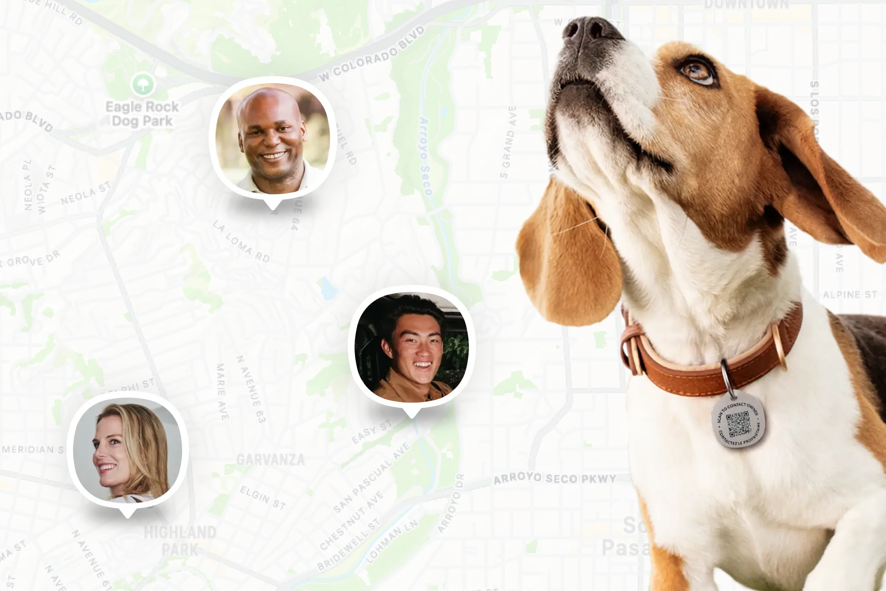 Image of Life360 Pet Tag on a beagle and the Life360 map in the background