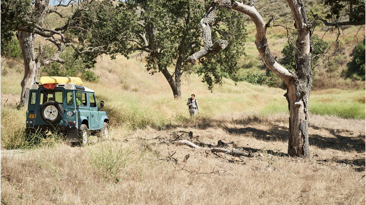 Safari