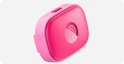 pink punch pet gps