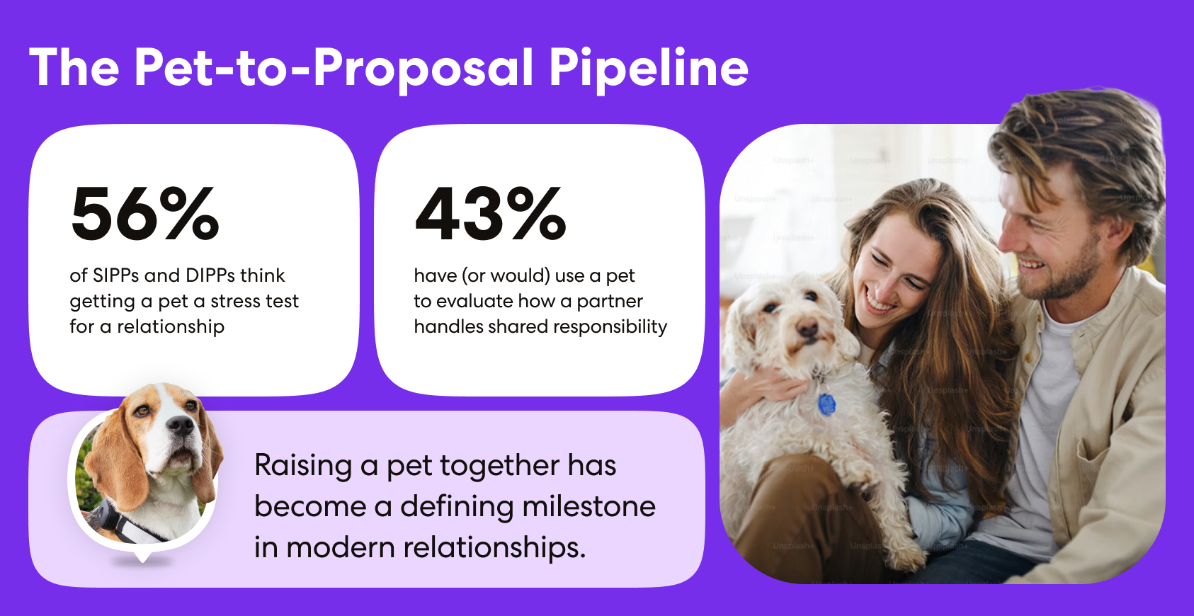 Pet to Proposal Pipeline