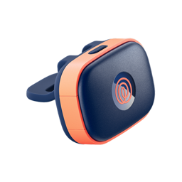 trackers seatbelt petgps (2) 2