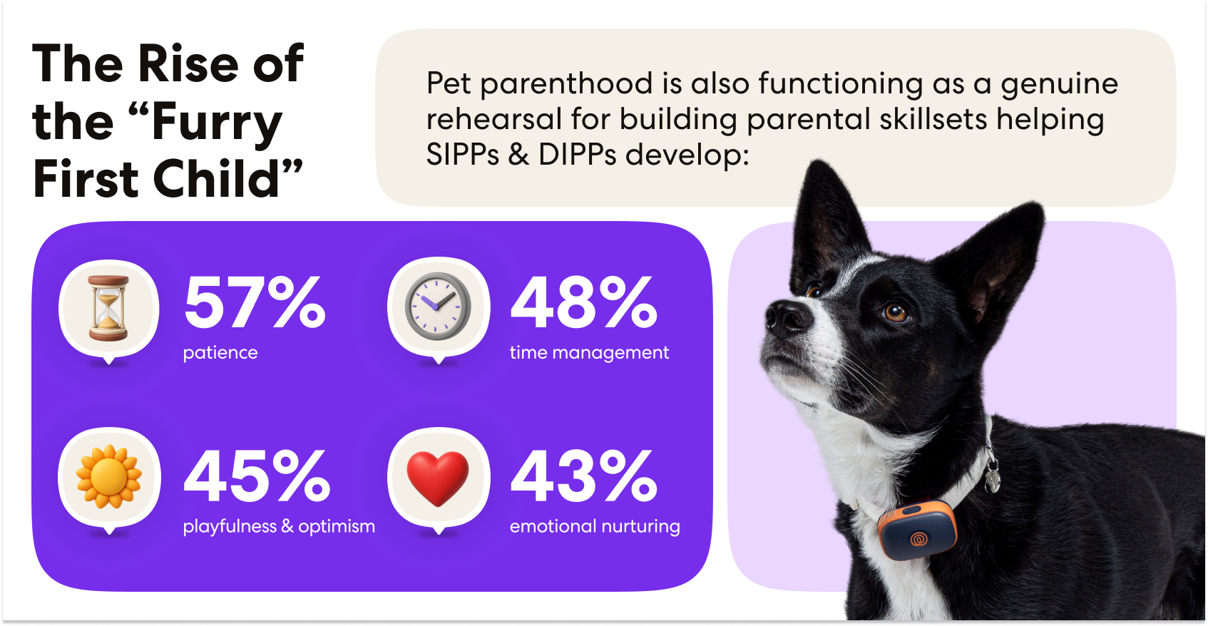 Furry First Child