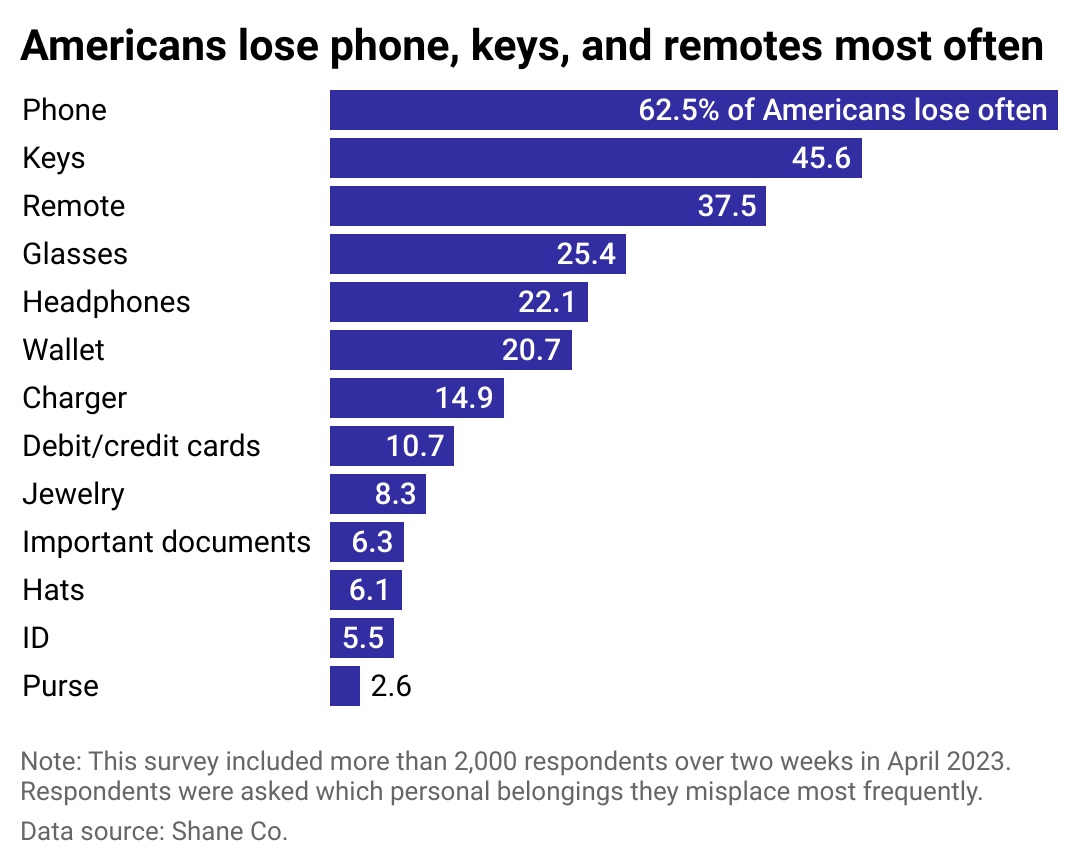Most common lost items chart