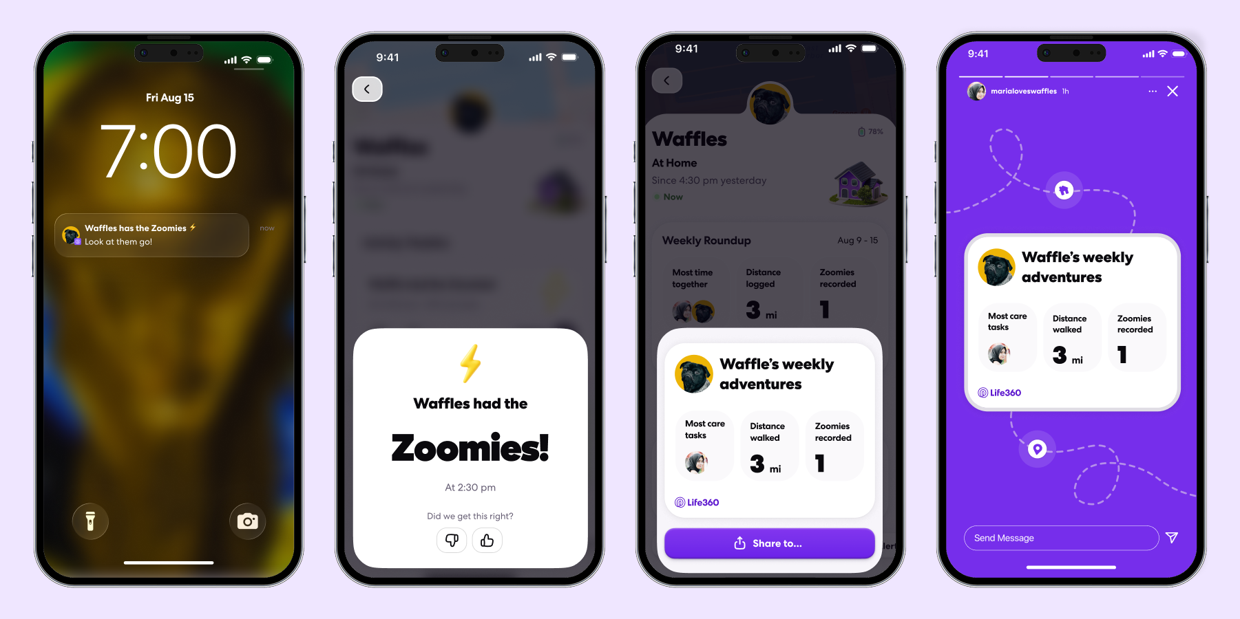 Zoomies + Weekly Report