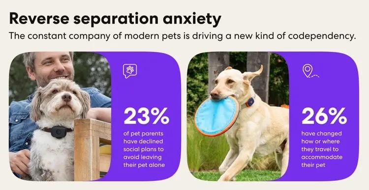 Reverse Separation Anxiety