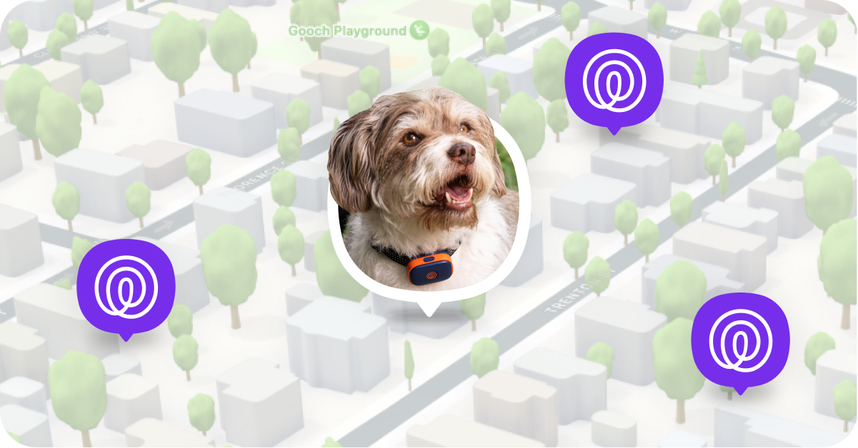 New Pet PLP Use Cases Pet Finder Network 448x234 (1)