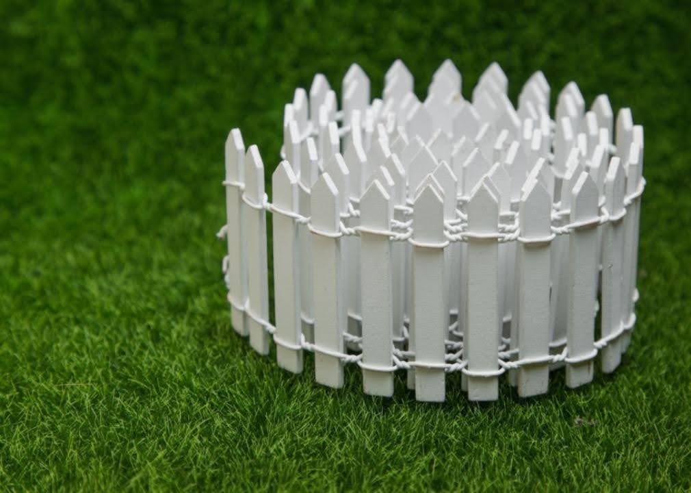 garden fence