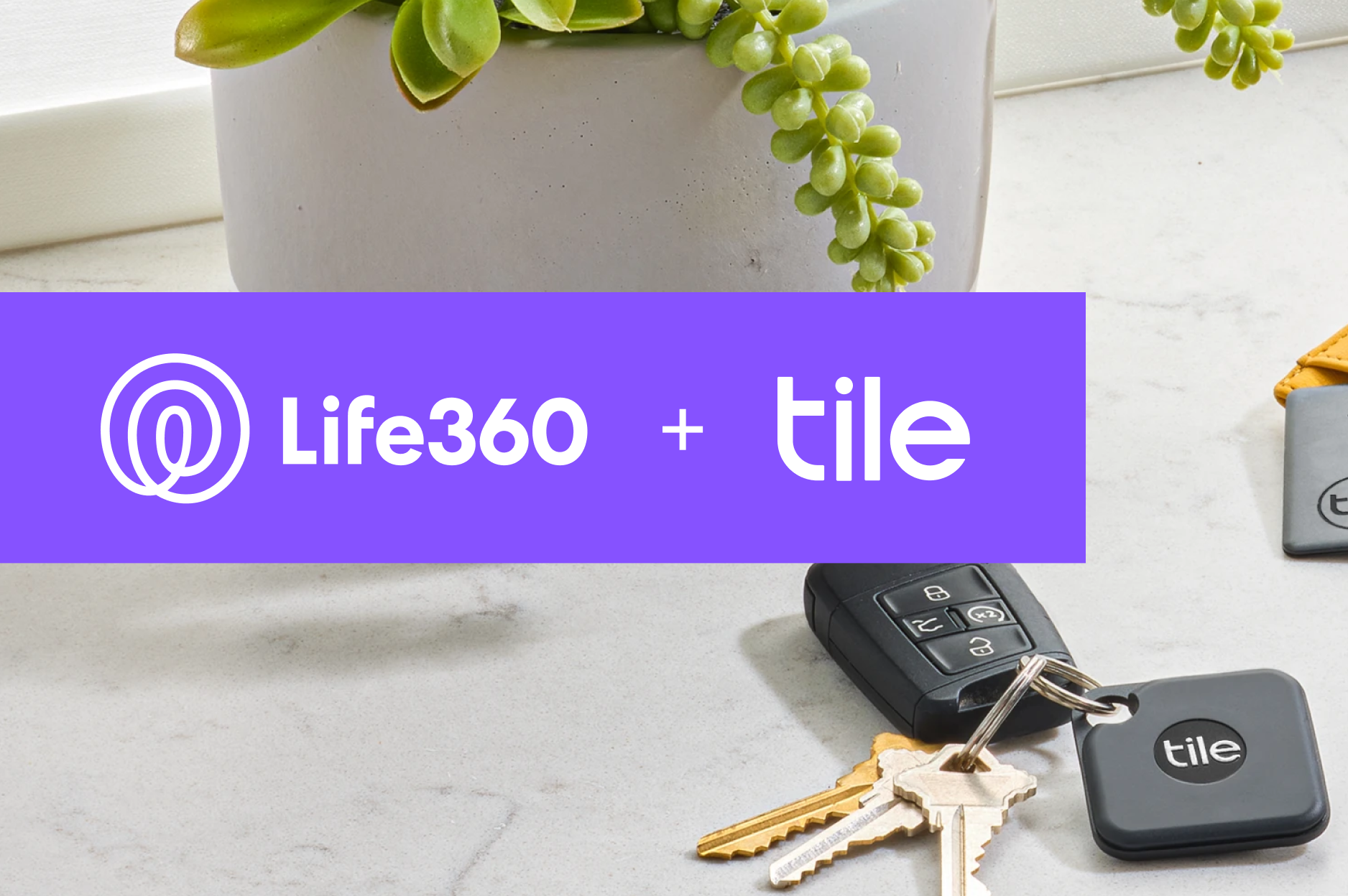 Life 360 + Tile overlaying a plant and keys with a Tile Mate attached