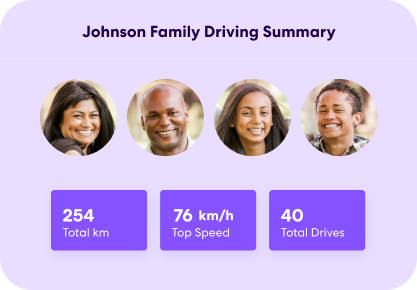 Family Driving Summary