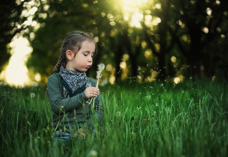 Little girl blowing on a dandelion in a tall grass meadow